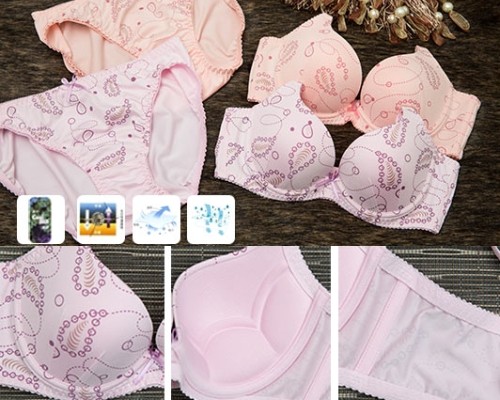 BW228軟鋼圈內衣