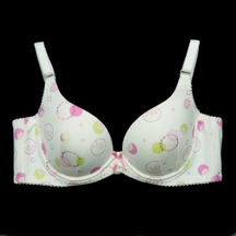 BW229 花圈軟鋼圈胸罩