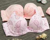 BW228 變形圖騰軟鋼圈胸罩